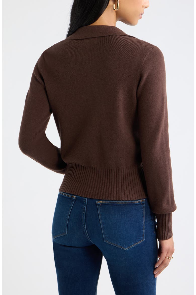 Long Sleeve Polo Sweater, Alternate, color, BROWN SEAL