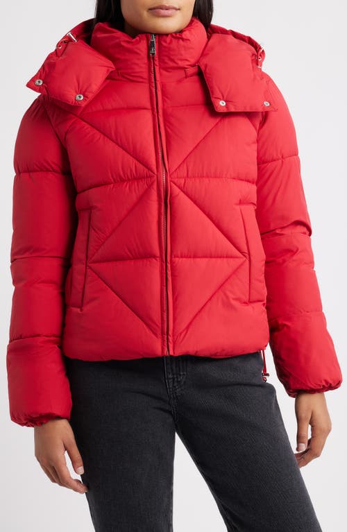 Sam Edelman Cropped Puffer Jacket In Red