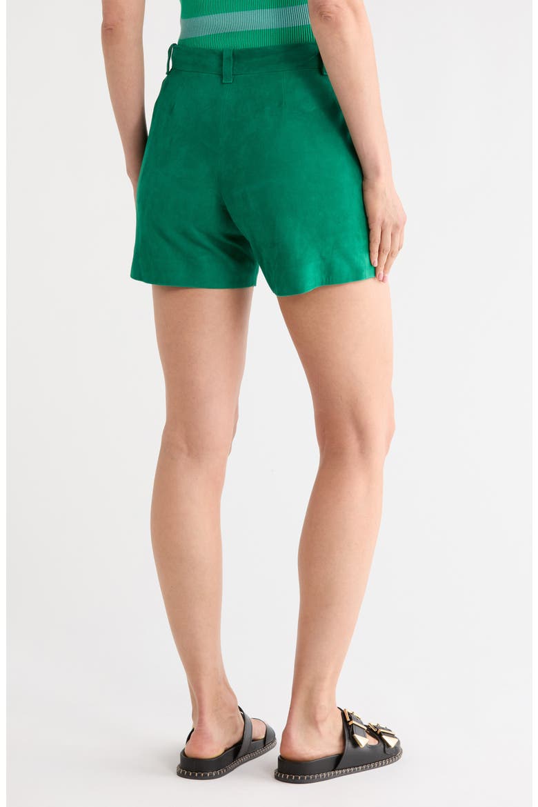 Suede Shorts, Alternate, color, GREEN
