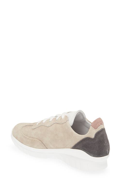 Naot Infinity Colorblock Sneaker In Sand Stone Suede
