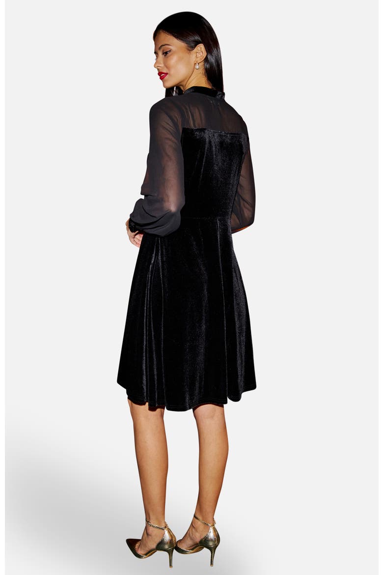 Velvet  Sheer Sleeves Skater Dress, Alternate, color, Black