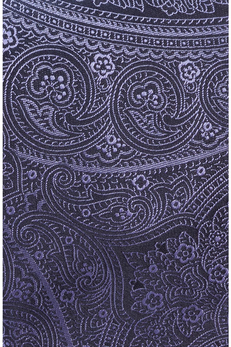 Paisley Silk Tie, Alternate, color, PURPLE