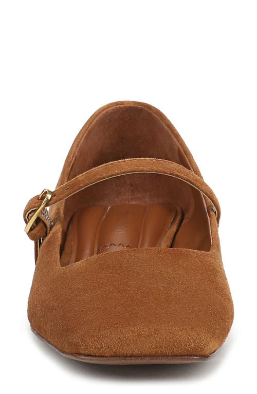 Franco Sarto Tinsley Square Toe Mary Jane Flat In Brown