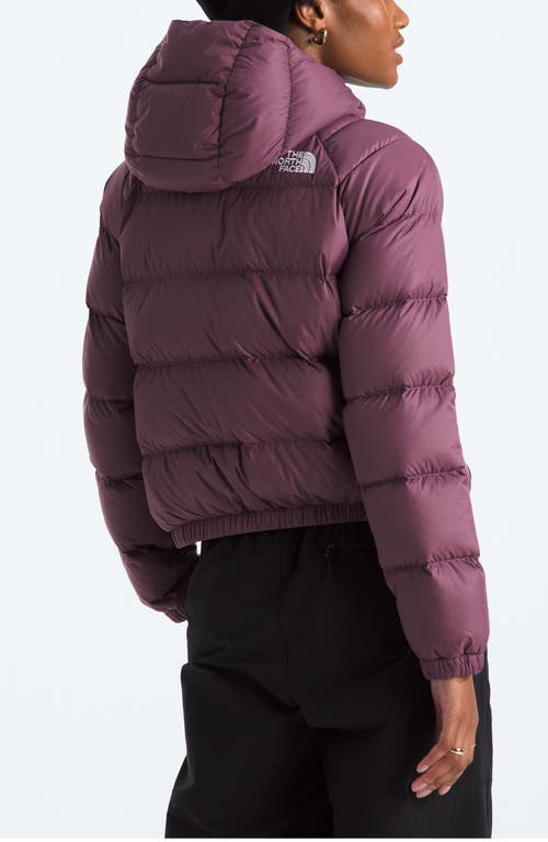 The North Face Hydrenalite Hooded Down Jacket In Purple