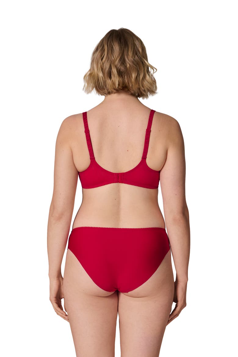 Intrigue Sheer Full Coverage Underwire Plunge Bra, Alternate, color, OPERA RED