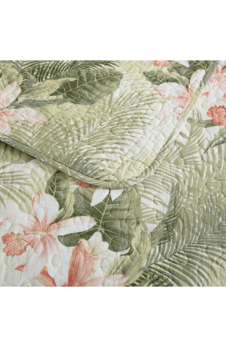 Tommy Bahama Tropical Orchid Cotton Quilt & Sham Set, Alternate, color, Green Multi