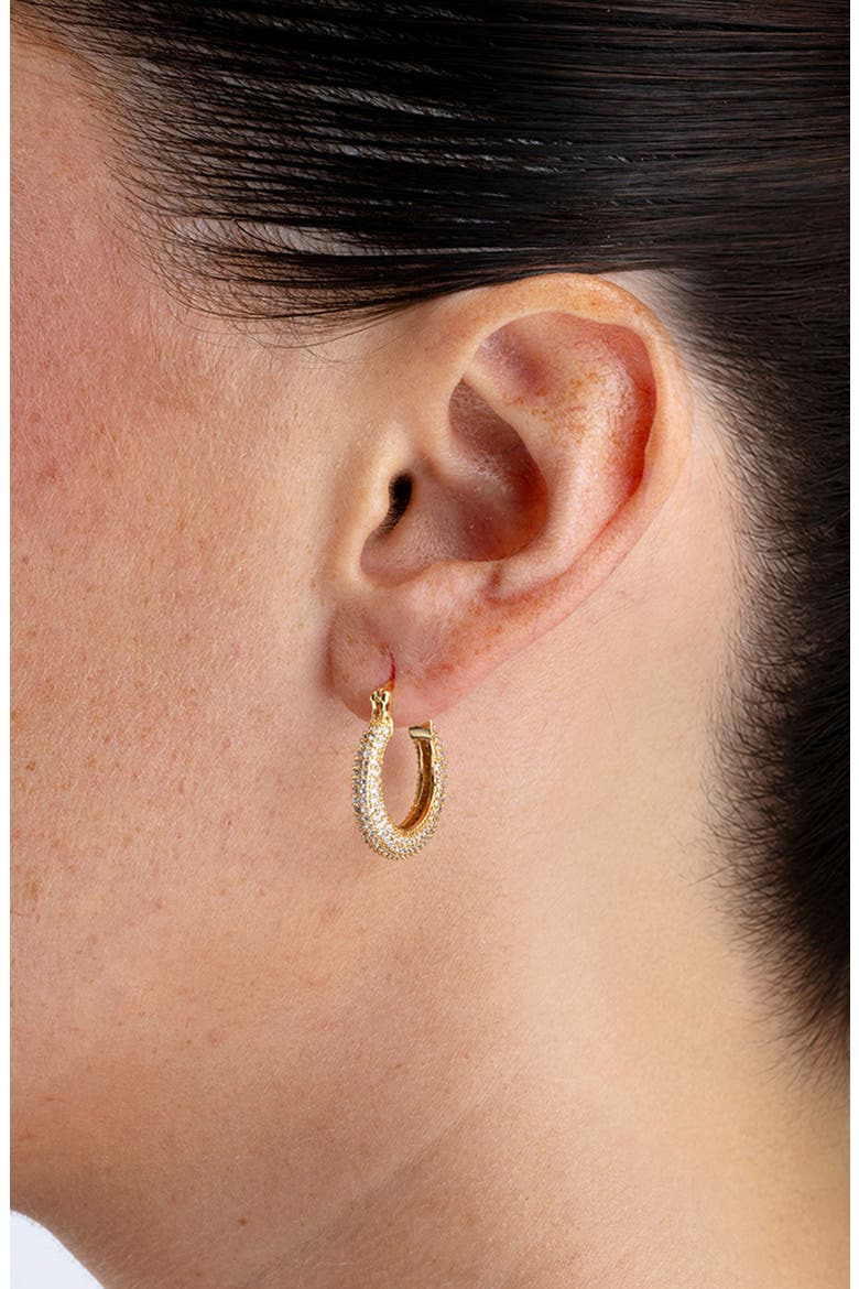 Full Pav Cubic Zirconia Hoop Earrings, Alternate, color, GOLD