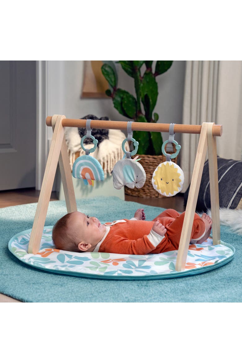 Sun Valley Wooden Toy Arch & Baby Play Mat, Alternate, color, BABY BLUE