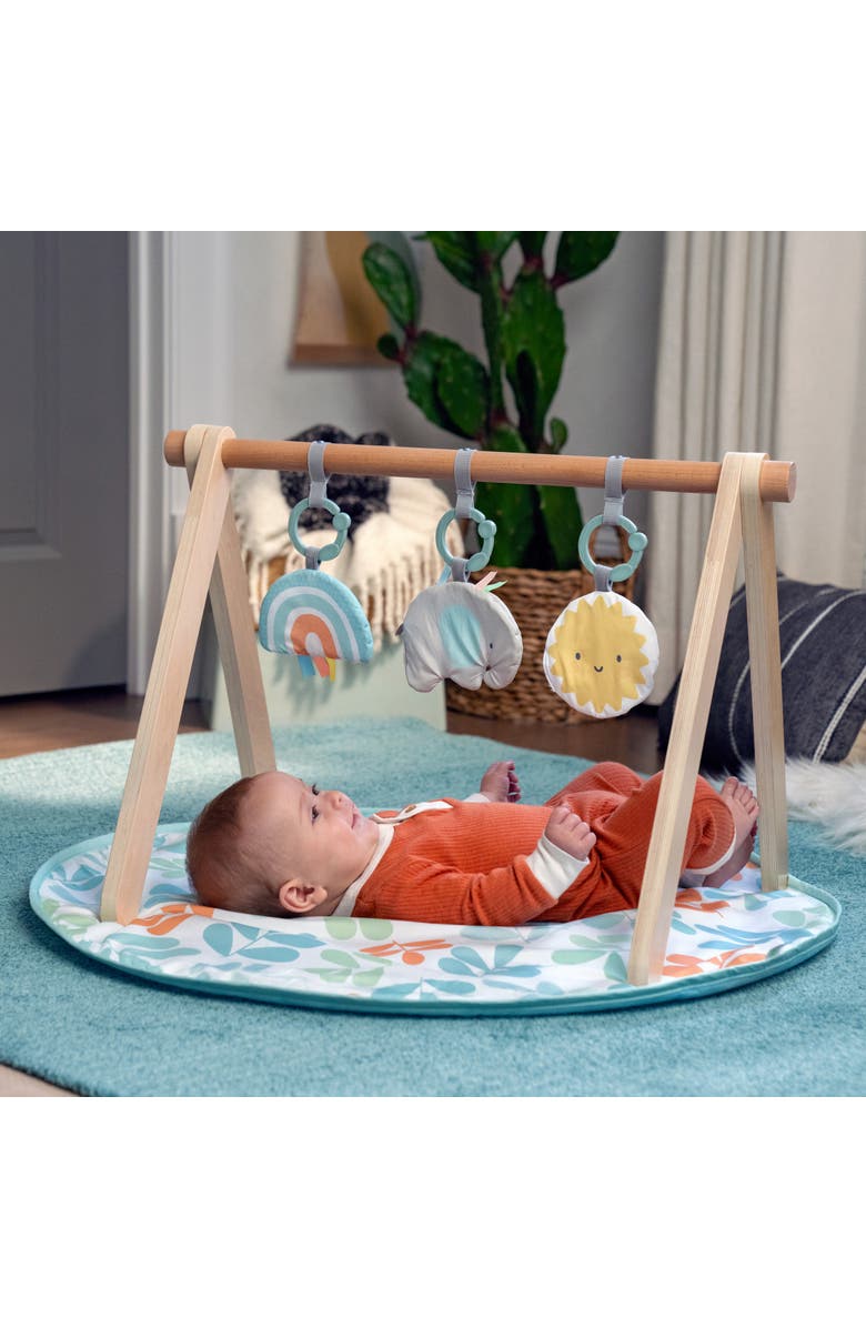 INGENUITY Sun Valley Wooden Toy Arch & Baby Play Mat, Alternate, color, Baby Blue