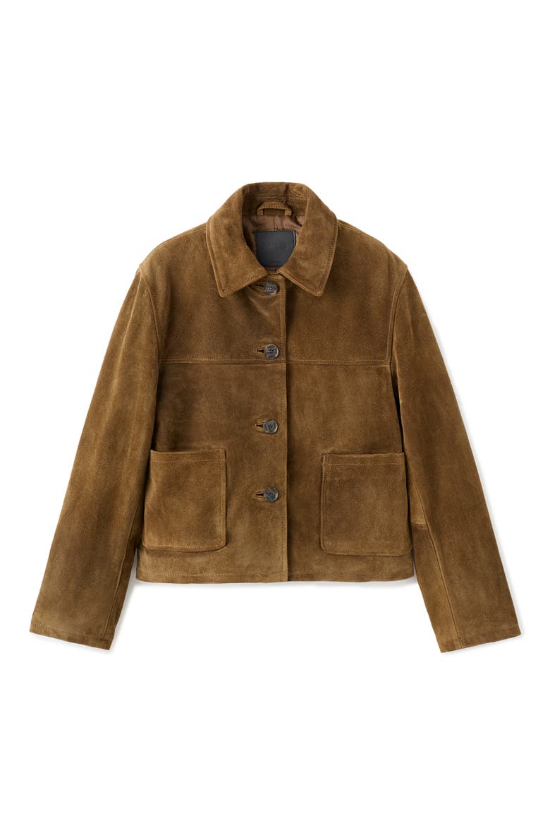 Laura Crop Suede Jacket, Alternate, color, TOBACCO BROWN