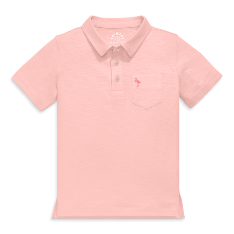 Kids Embroidered Polo (Toddler, Little Kid, & Big Kid)