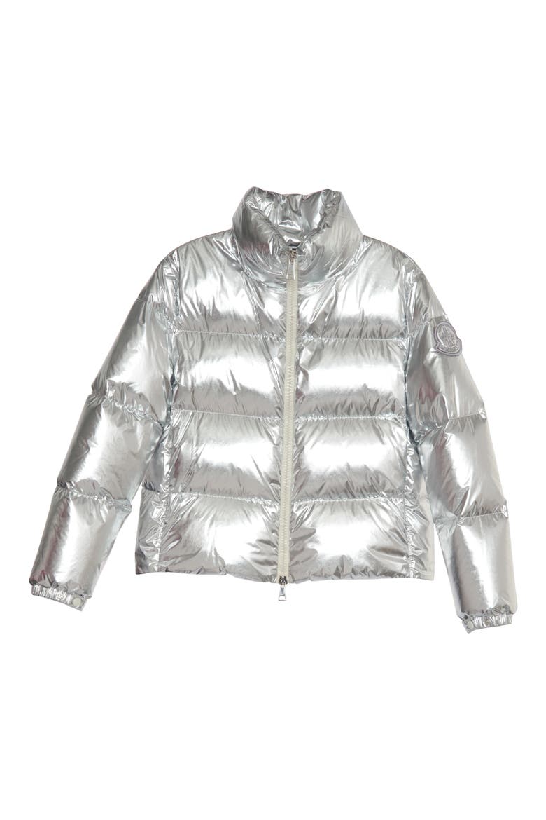 Meuse Laminated Nylon Down Jacket, Alternate, color, SILVER