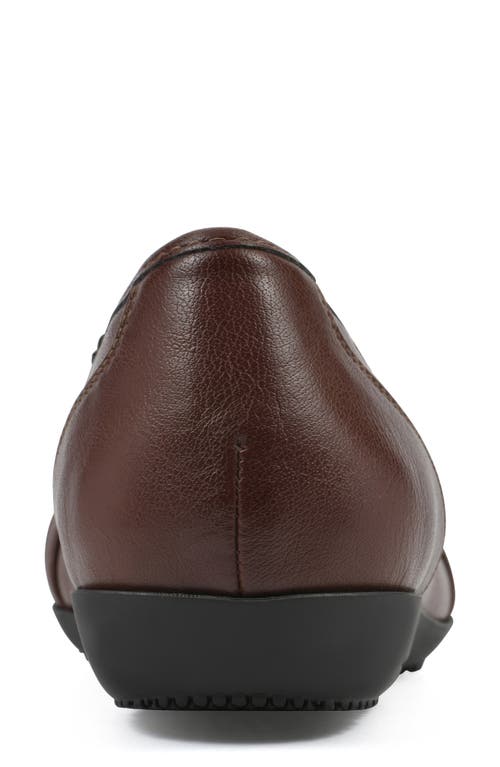 Cliffs By White Mountain Calming Buckle Strap Flat In Brown Burnished Smooth