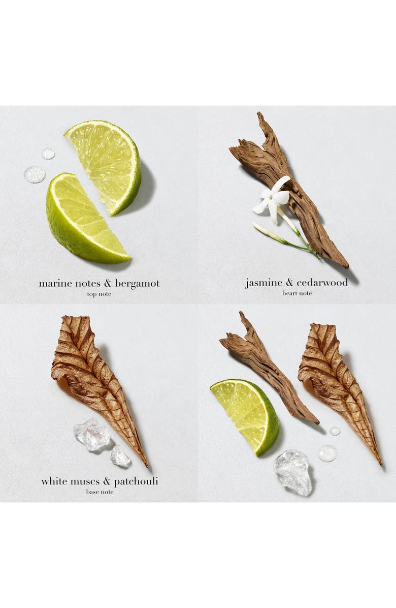 Giorgio Armani Acqua di Gio Eau de Toilette Set (Limited Edition) $170 Value, Alternate, color, 