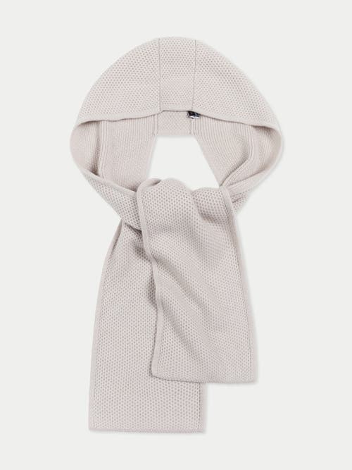 Gobi Mongolian Cashmere Hooded Cashmere Scarf In Gray