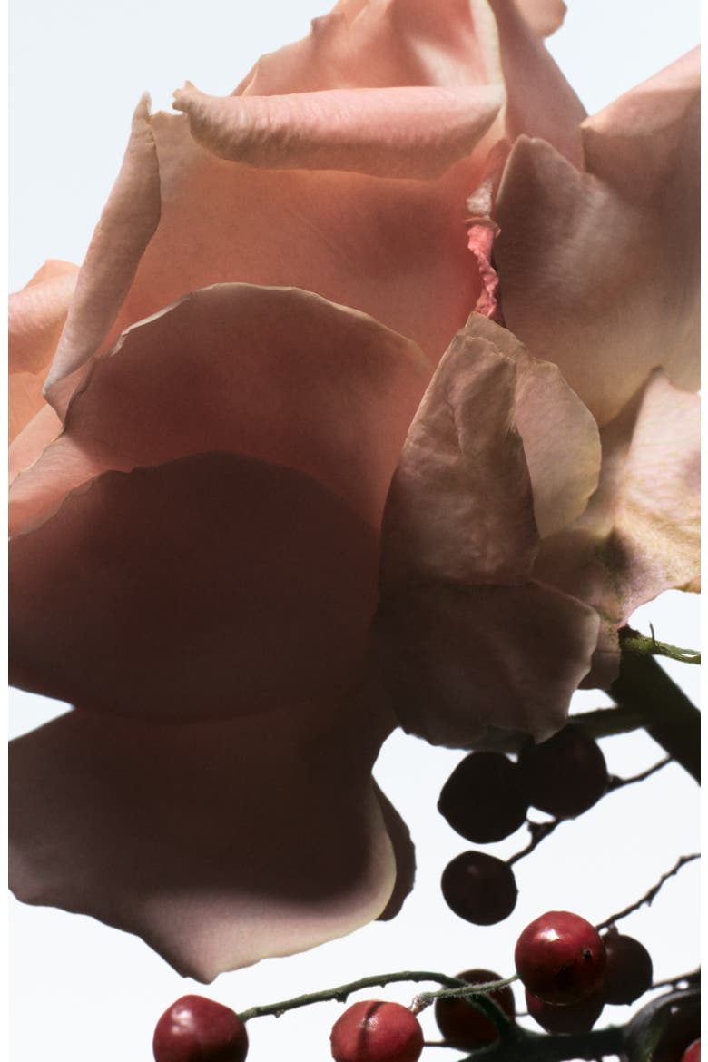 Raving Rose Refillable Eau de Parfum, Alternate, color, NO COLOR