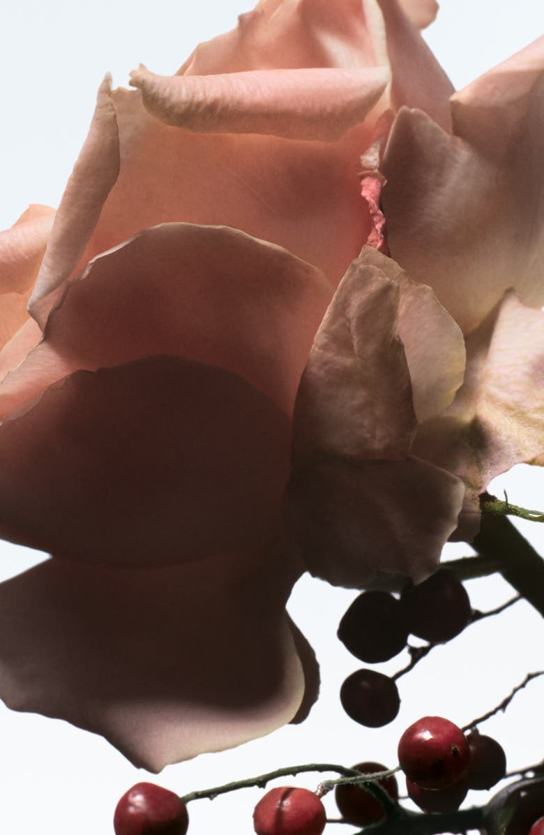 Dries Van Noten Raving Rose Refillable Eau de Parfum, Alternate, color, 