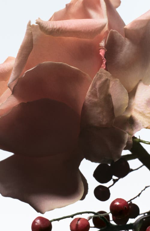 Dries Van Noten Raving Rose Eau De Parfum