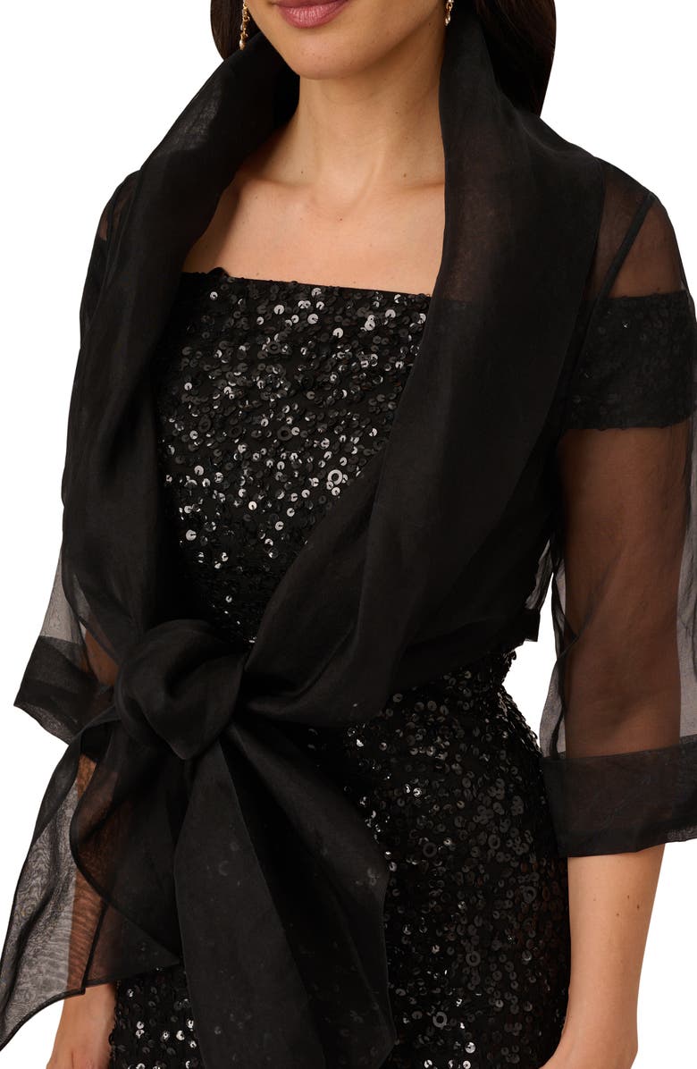 Adrianna Papell Organza Wrap Jacket, Alternate, color,
