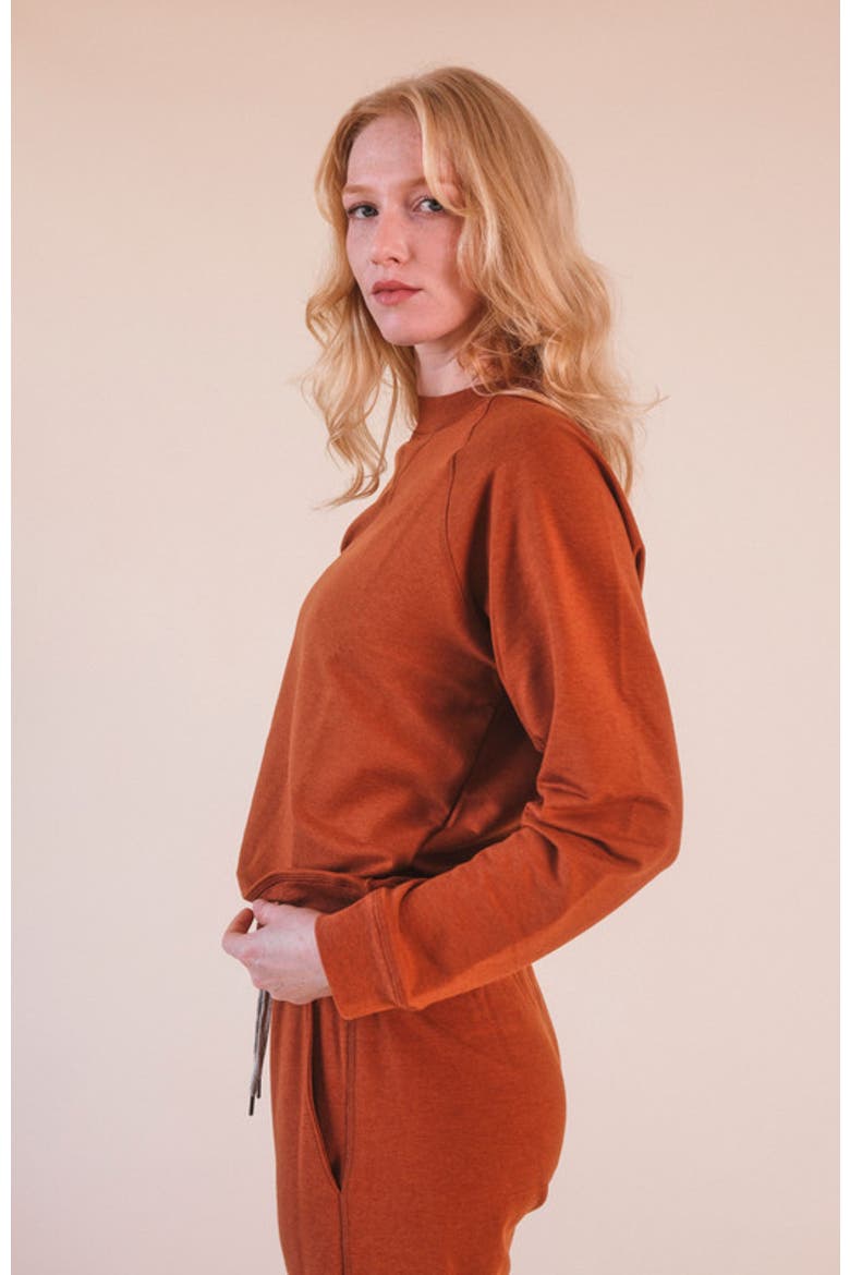 Plus Agnes Organic Cotton + Tencel Jogger Pant, Alternate, color, Rust