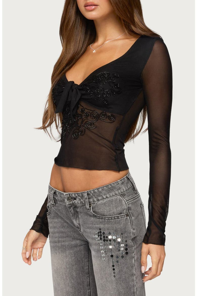 Sarla Beaded Sheer Mesh Tie Top, Alternate, color, BLACK