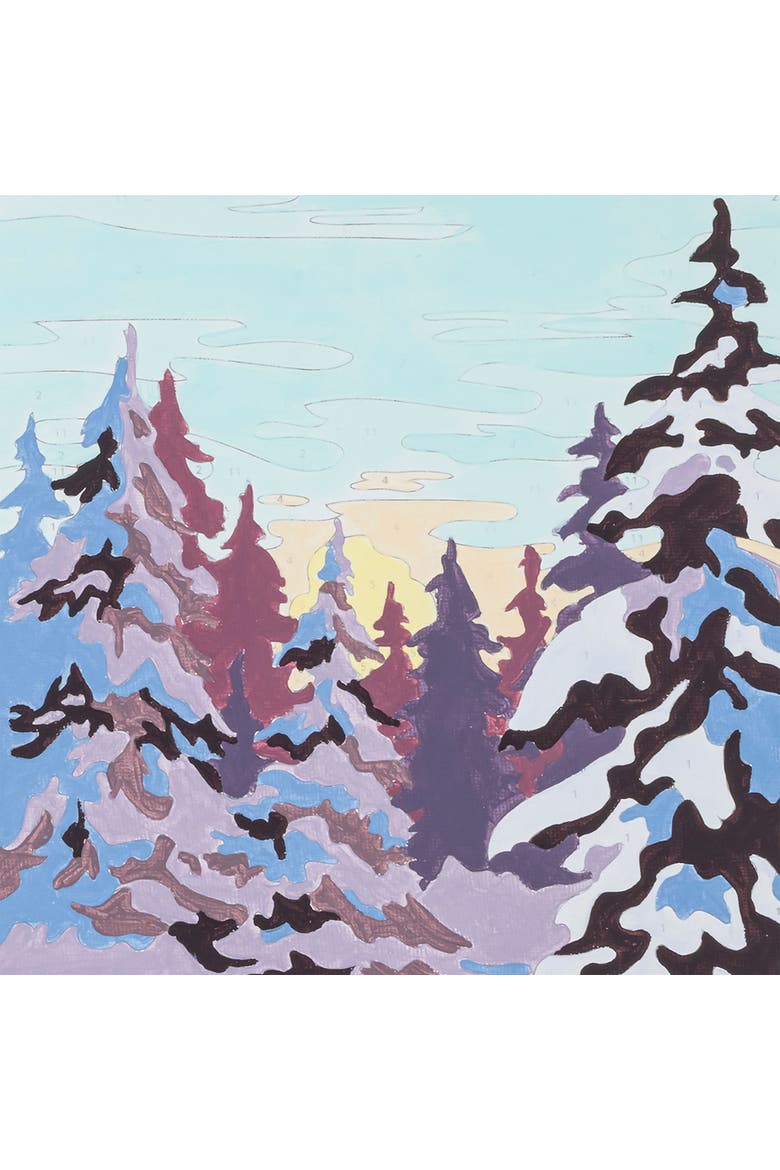 Acrylic Paintbynumber Kit Winter Wonderland, Alternate, color, Multicolored