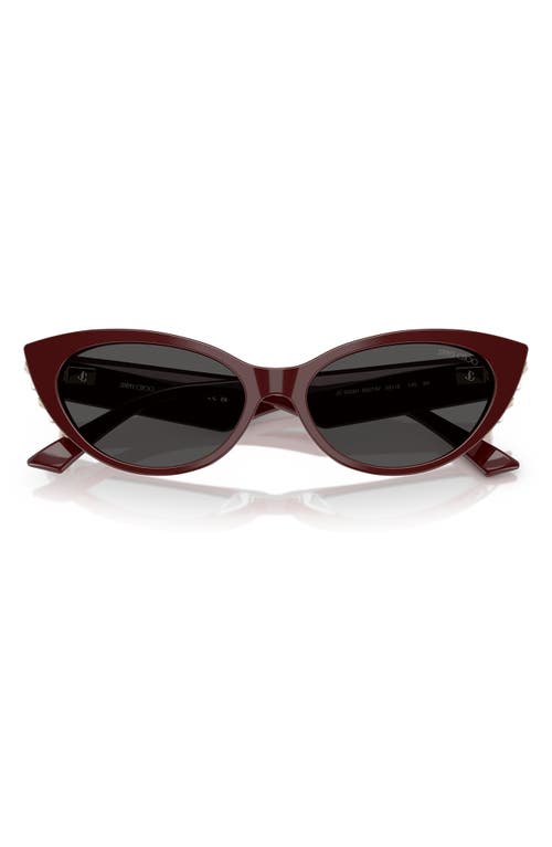 Jimmy Choo 55mm Cat Eye Sunglasses In Red