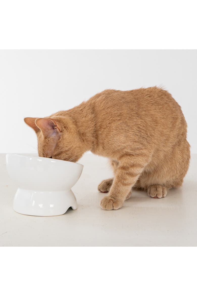 Elevated Ceramic Bowl For Cats 7oz Capacity, Alternate, color, White