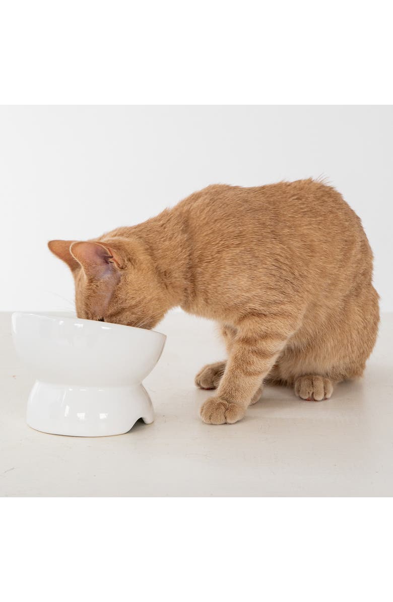 Dexypaws Elevated Ceramic Bowl For Cats 7oz Capacity, Alternate, color, White