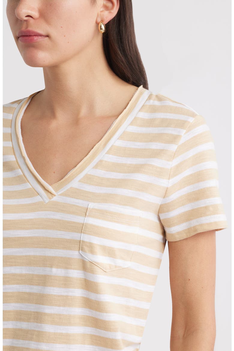 Cotton & Modal V-Neck T-Shirt, Alternate, color, TAN S- WHITE ASHER STRIPE