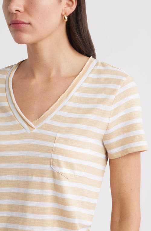 Caslonr Caslon(r) Cotton & Modal V-neck T-shirt