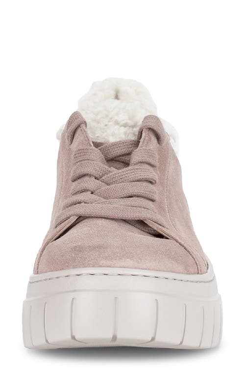 Gabor 73.221 Faux Fur Lined Platform Sneaker In Animal Print