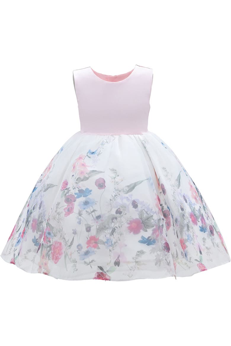 Mabel Floral Garden Organza Dress, Main, color, Pink