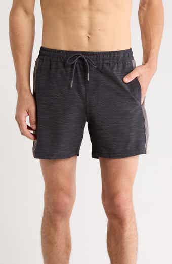 Mr.Swim Colorblock Stretch Compression Swim Shorts