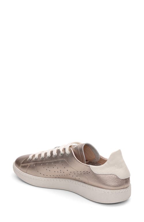 Ash Super Low Top Sneaker In Champagne