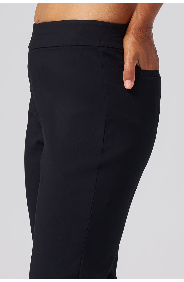 Franne Golde Greenwich Stretch Sculpting Ankle Pant, Alternate, color, Black