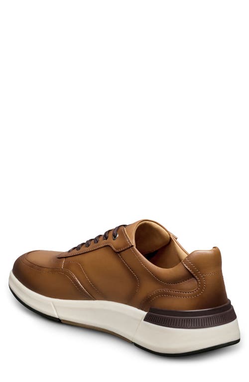 Allen Edmonds Gramercy Sport Sneaker In Brown