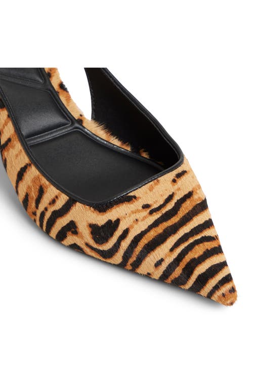 Aldo Leanah Genuine Calf Hair Pointed Toe Pump In Animal Print