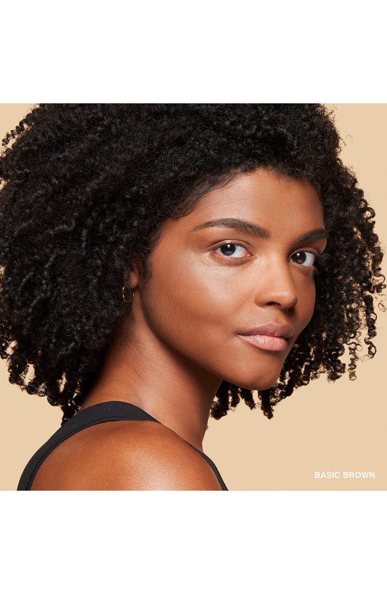 Bobbi Brown Sheer Finish All Day Oil Control Matte Pressed Powder, Alternate, color, Basic Brown