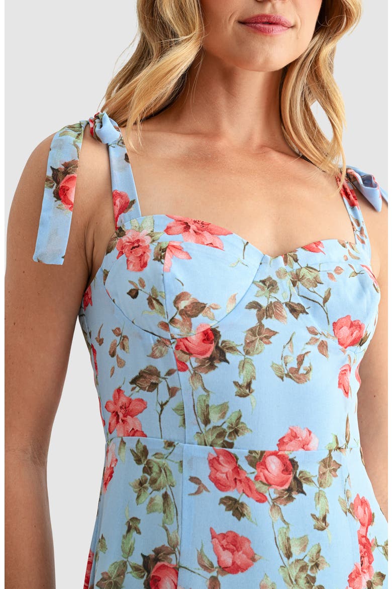 Tie Strap Midi Dress, Alternate, color, BLUE MAUVE FLORAL