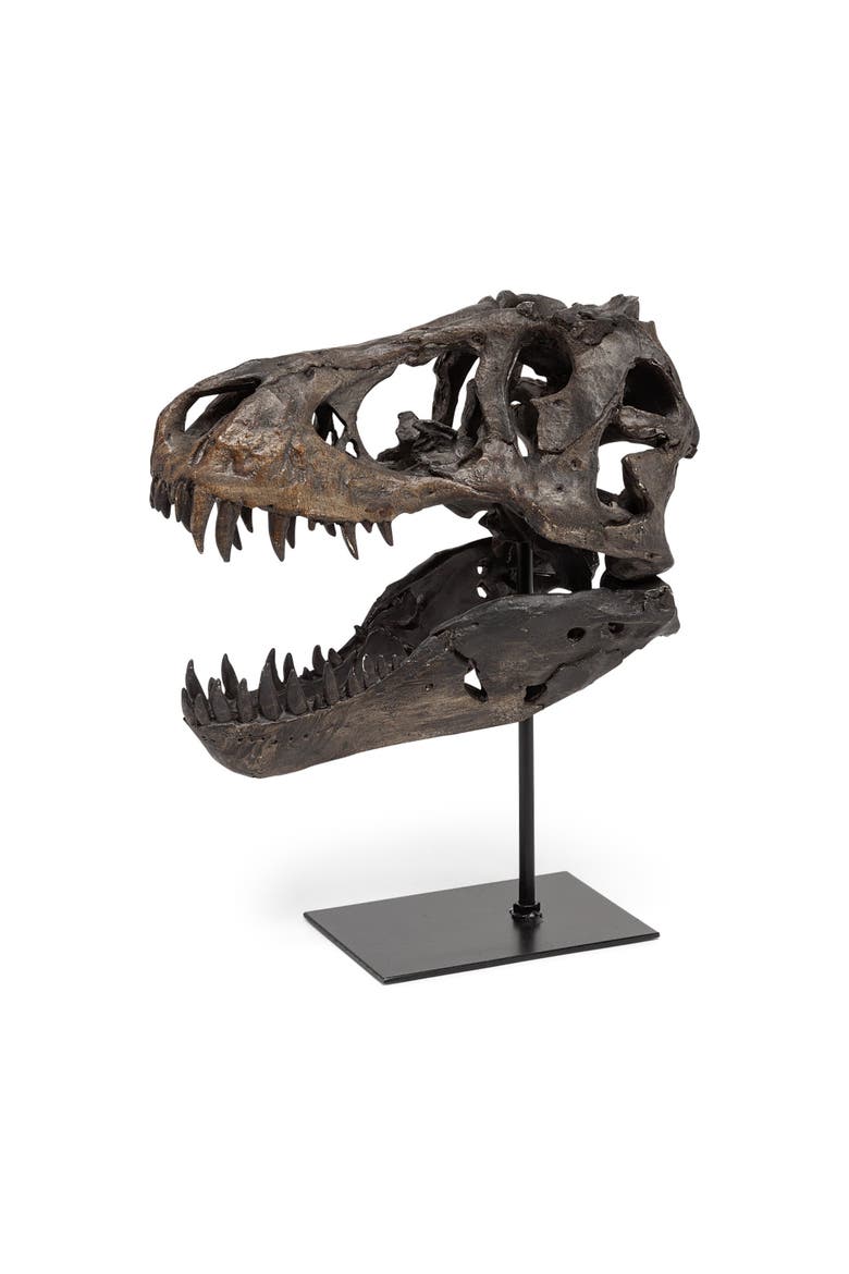 Jurassic Resin Dinosaur Skull Replica, Alternate, color, Brown