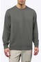 selected Castor Grey