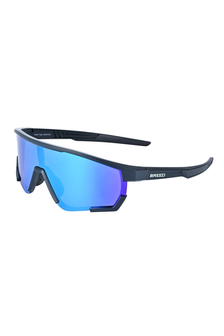 Vega Polarized Mens Sunglasses, Main, color, Black/Blue