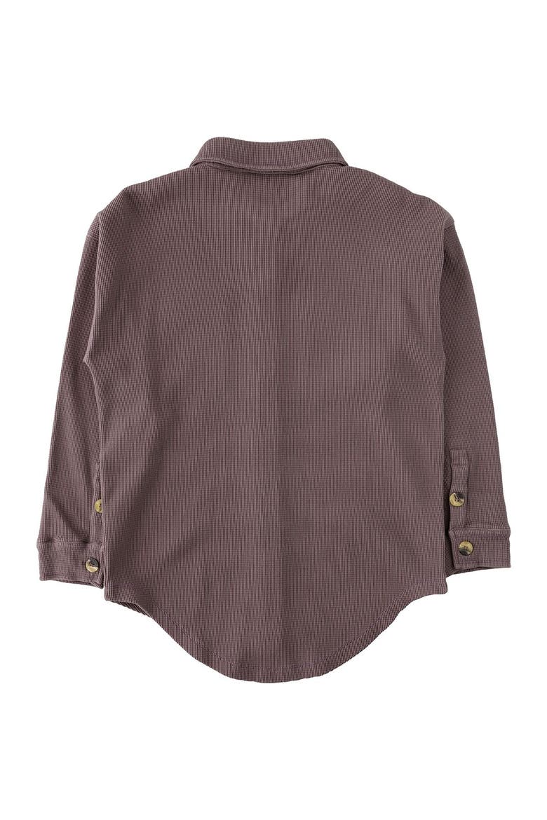 Brierwood Long-Sleeve Shirt - Women's, Alternate, color, Shark Grey