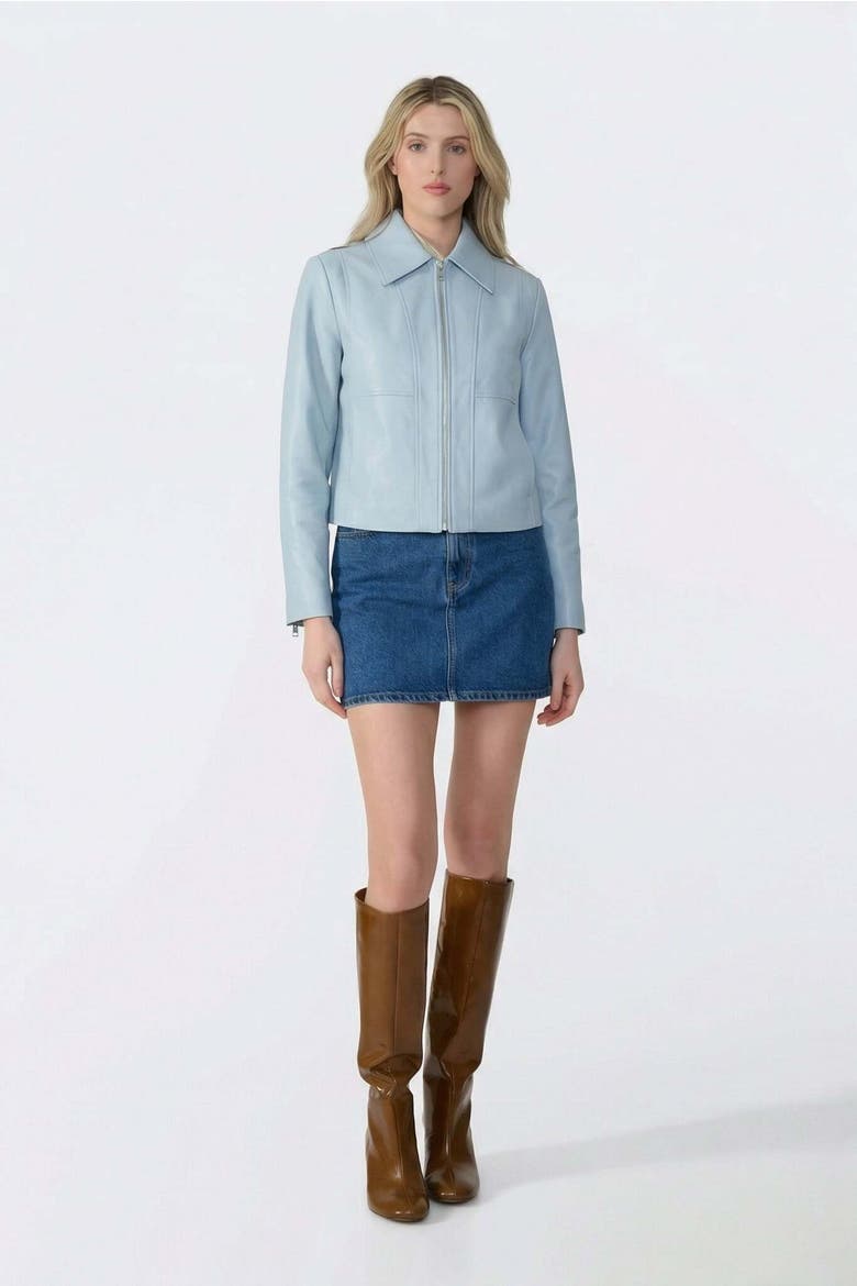 Daisy Leather Jacket, Alternate, color, Blue