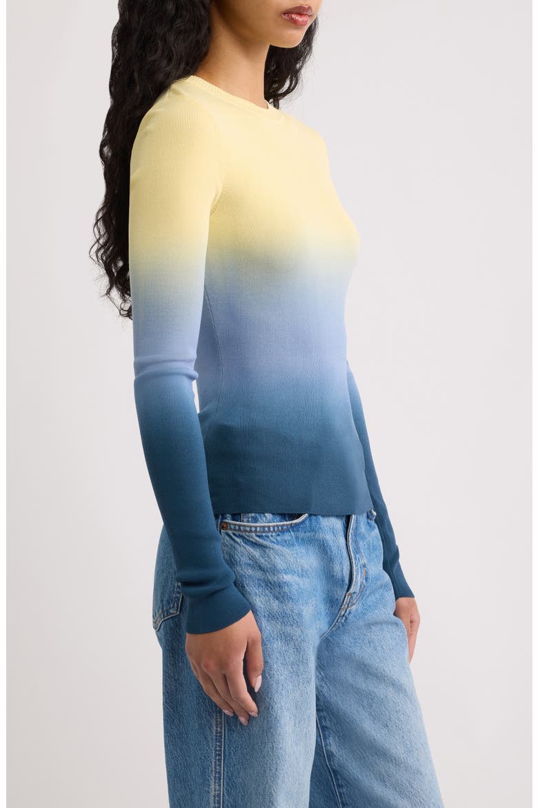 Dora Ombr Knit Top, Alternate, color, OMBRE