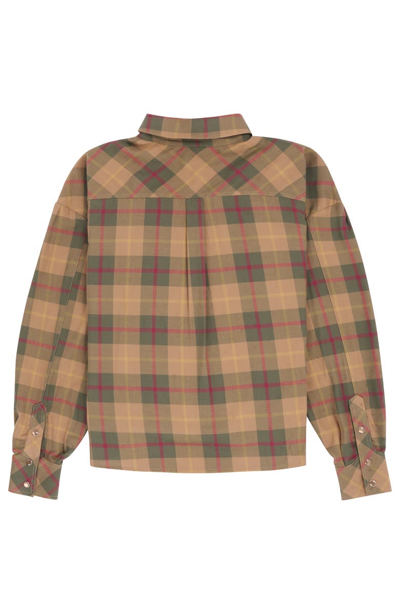 Amundsen Wild Country Shirt, Alternate, color, Hunter Brown Checks