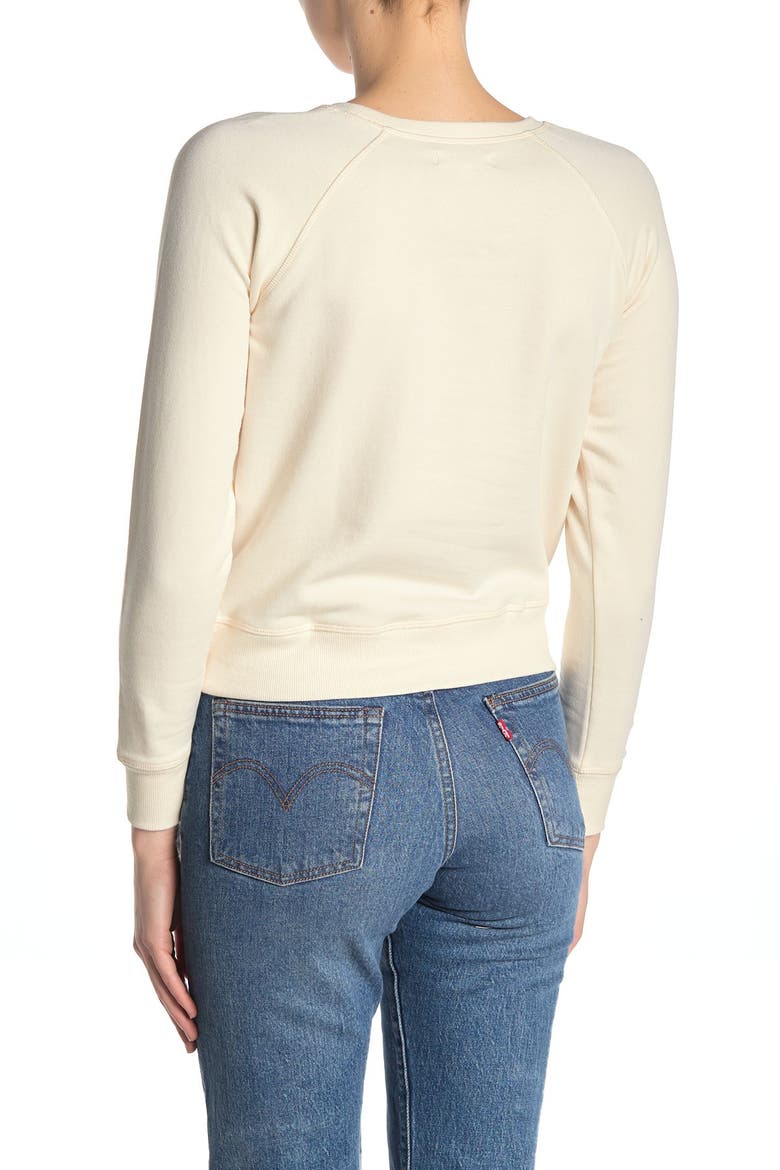 Crew Neck Raglan Sleeve Sweatshirt, Alternate, color, ANTIQUE CREAM