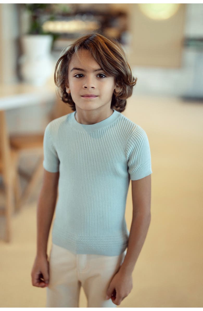 Space Grey Short Sleeve Rib Knit Sweater, Alternate, color, Dark Almond