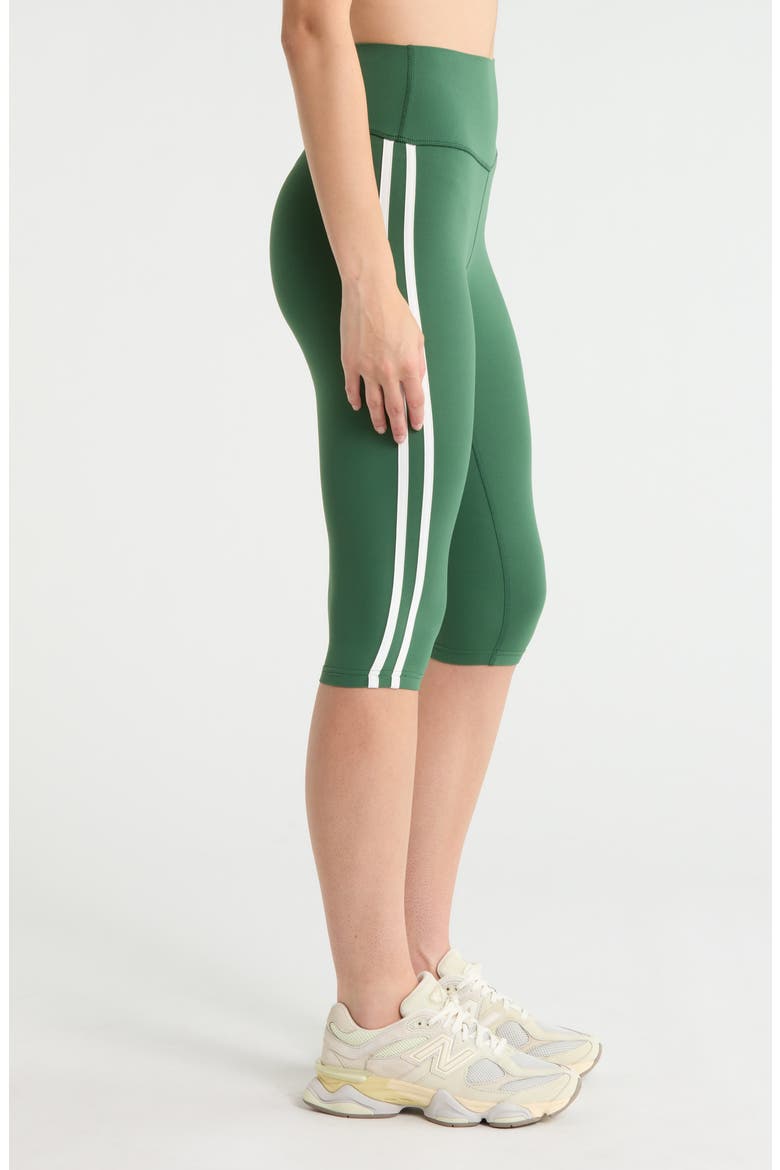Ella Airweight High Waist Performance Capri Leggings, Alternate, color, ARUGULA/ WHITE